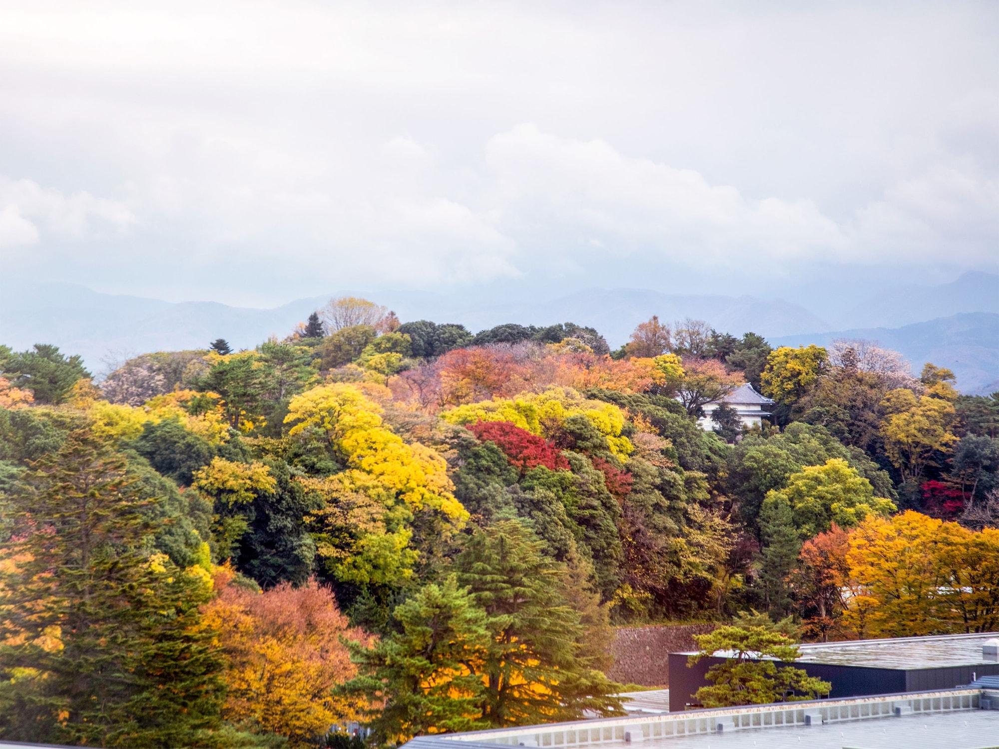 Unizo Inn Kanazawa Hyakumangoku Dori מראה חיצוני תמונה